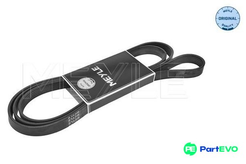 Meyle ribbed belt 0500062238 - meyle,